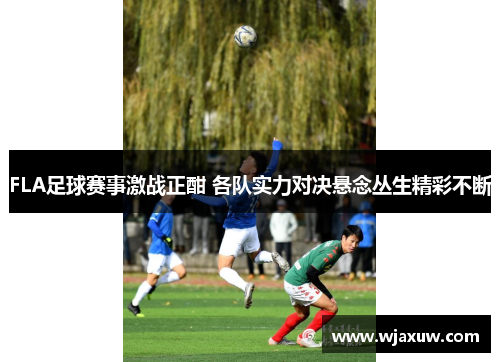 FLA足球赛事激战正酣 各队实力对决悬念丛生精彩不断